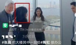 吃瓜娱乐圈陶虹视频,揭秘明星幕后故事