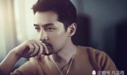 爆料娱乐圈胡歌是什么小说,娱乐圈背后的小说传奇